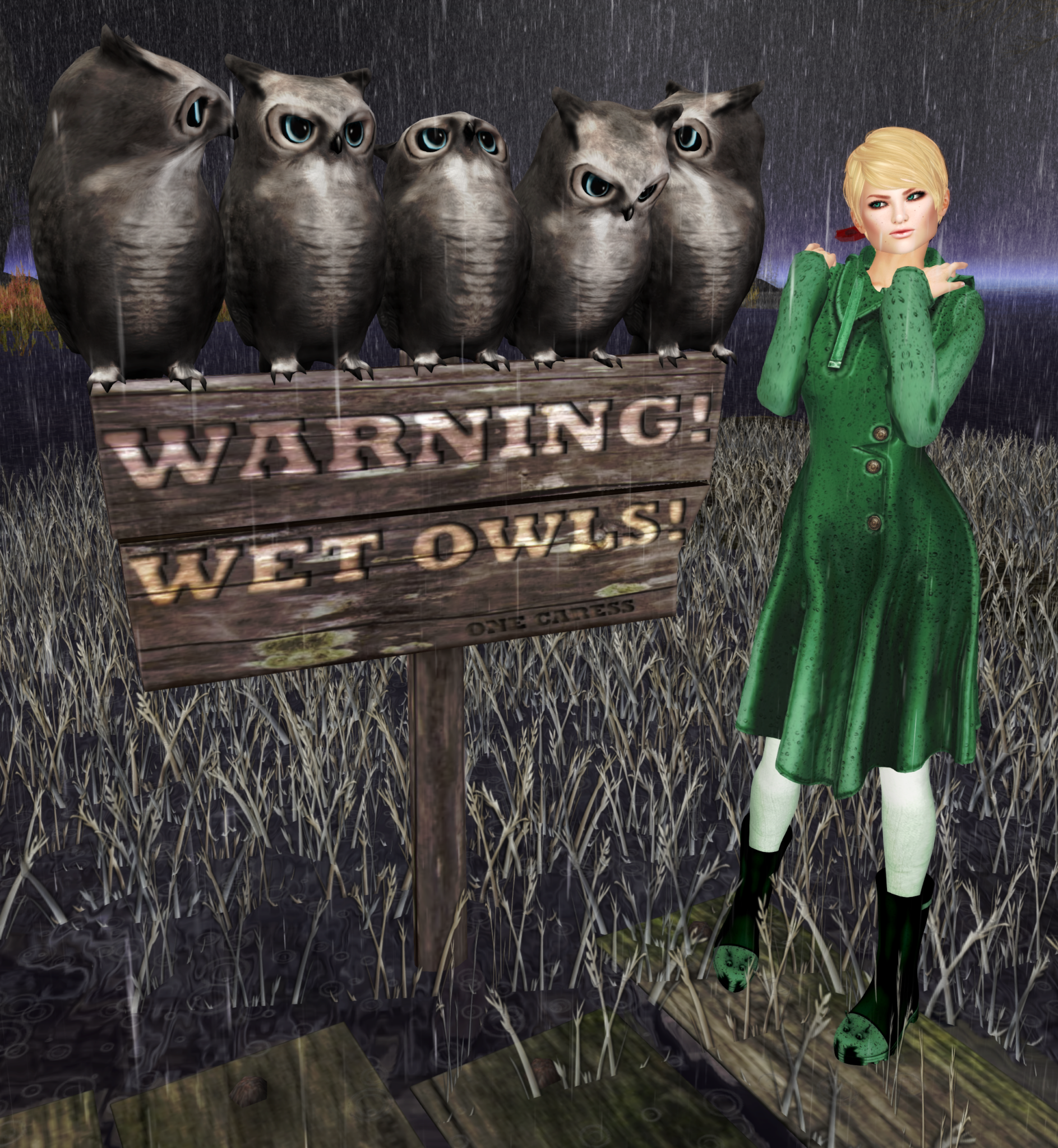 A female Second Life avatar wears a green raincoat and green boots. She's standing near some cute wet owls.