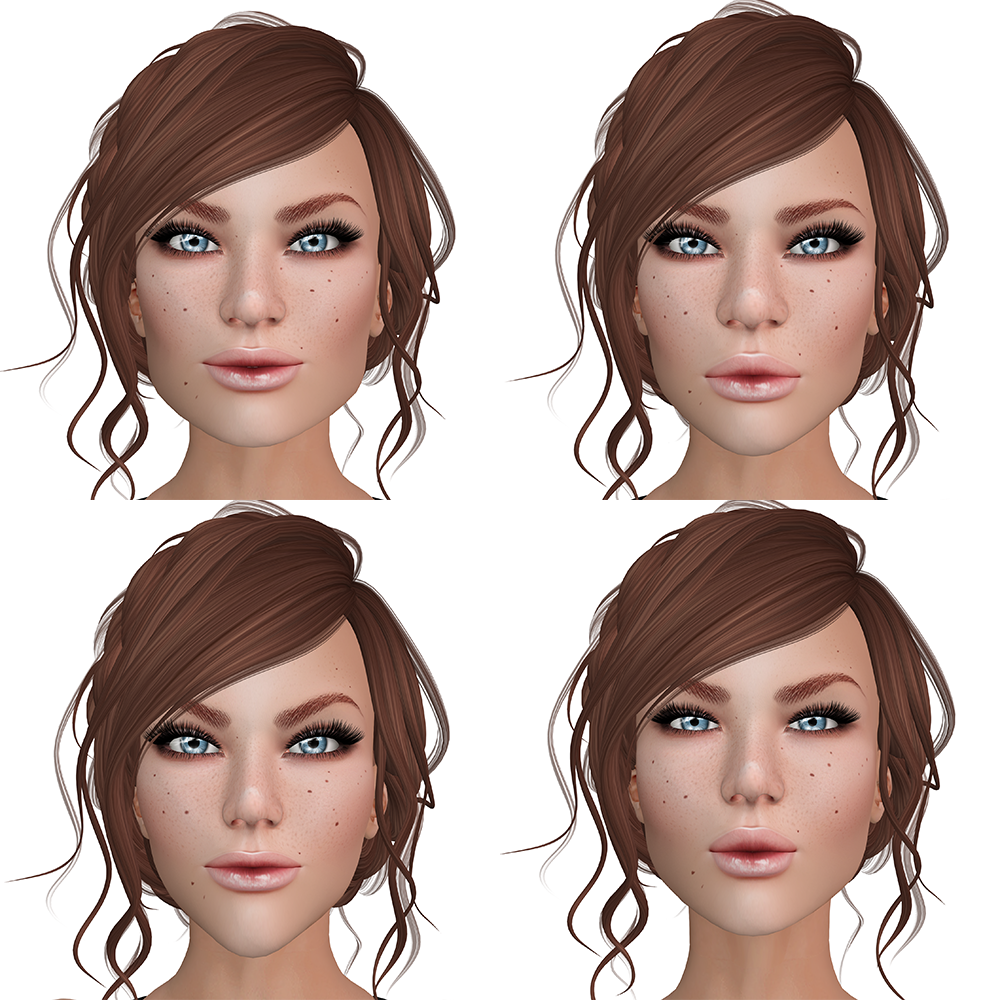A Second Life avatar's head with different shapes. There are four heads and each looks different.