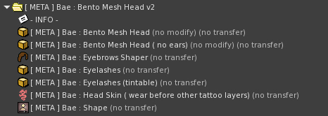A list of what comes with the META Bae Head for Second Life Avatars