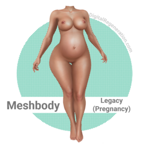 Meshbody Legacy Pregnancy