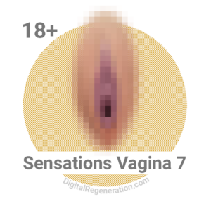 Sensations Vagina 7